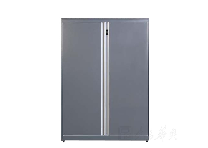 Steel Furniture|Steel Filing Cabinet|Office Furniture|Swing door cabinet|�ļ���|���Ϲ�|������|����� CG-SDC-1
